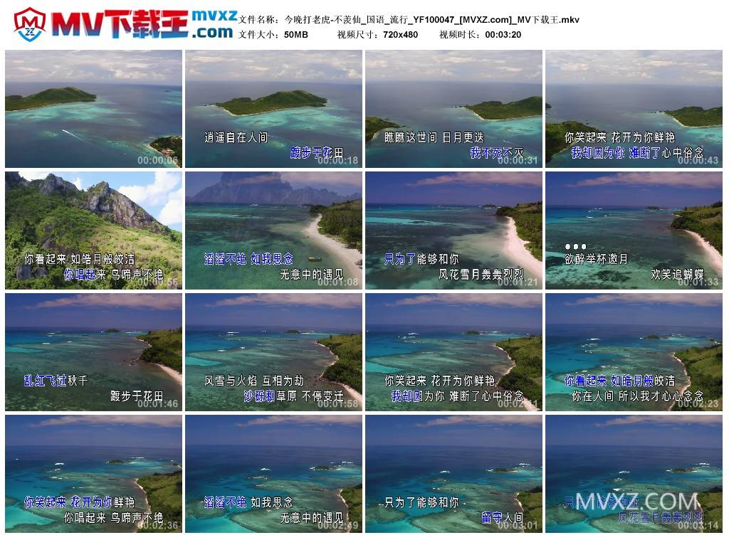 今晚打老虎-不羡仙_国语_流行_YF100047